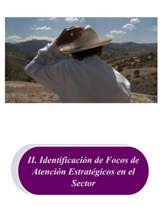 60
II. Identificación de Focos de
Atención Estratégicos en el
Sector
 