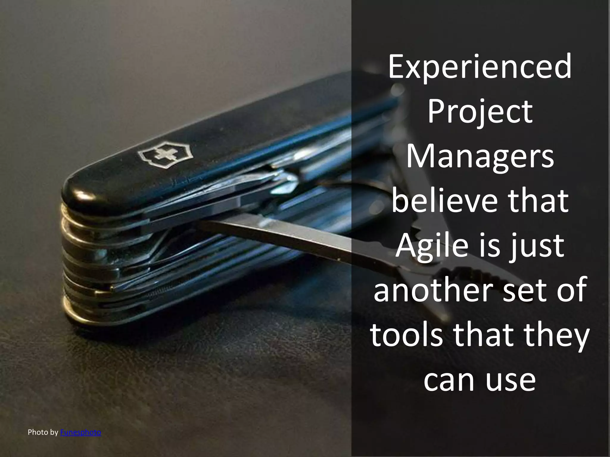 Experienced
Project
Managers
believe that
Agile is just
another set of
tools that they
can use
Photo by Funesphoto
 