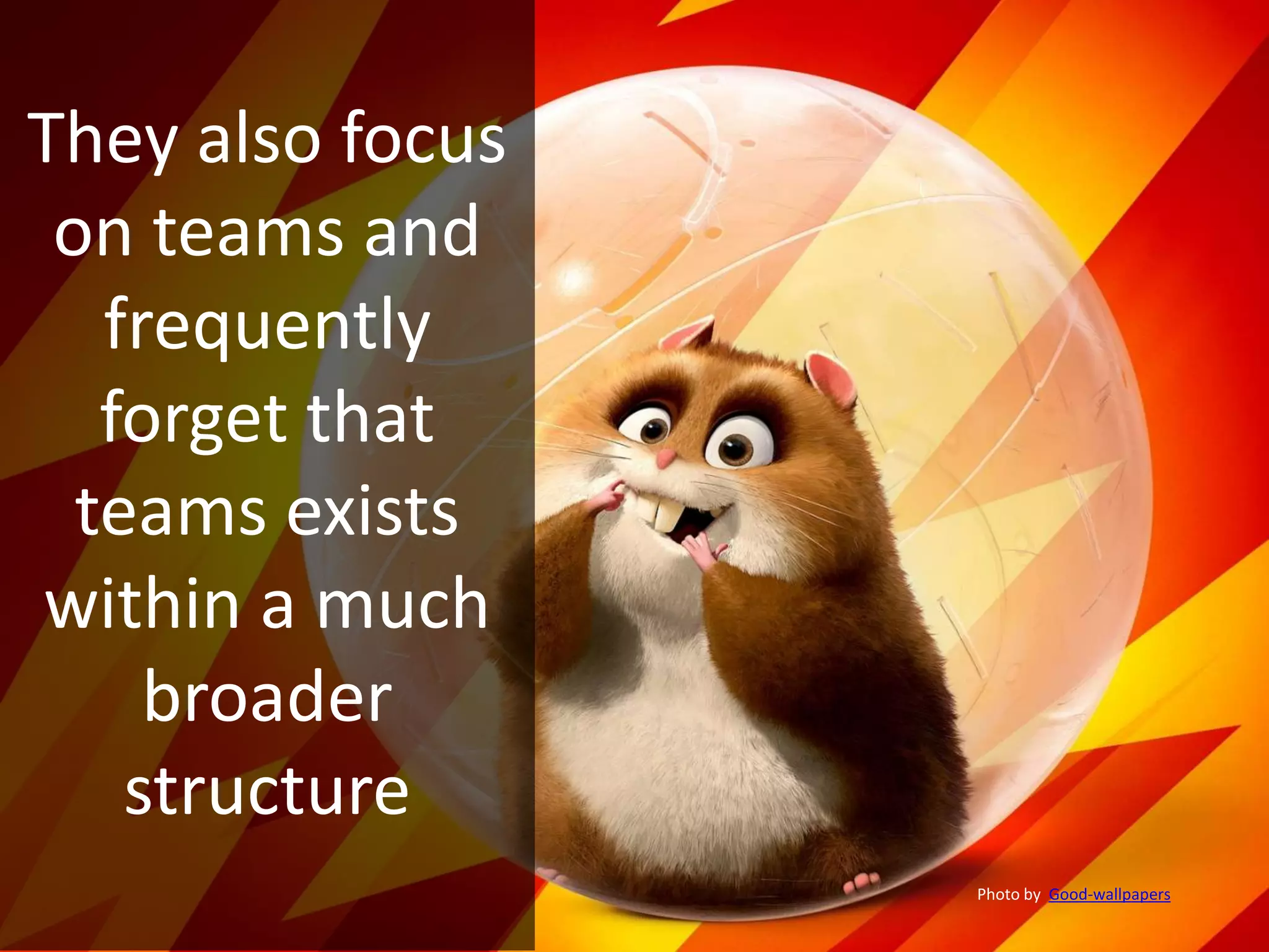 They also focus
on teams and
frequently
forget that
teams exists
within a much
broader
structure
Photo by Good-wallpapers
 