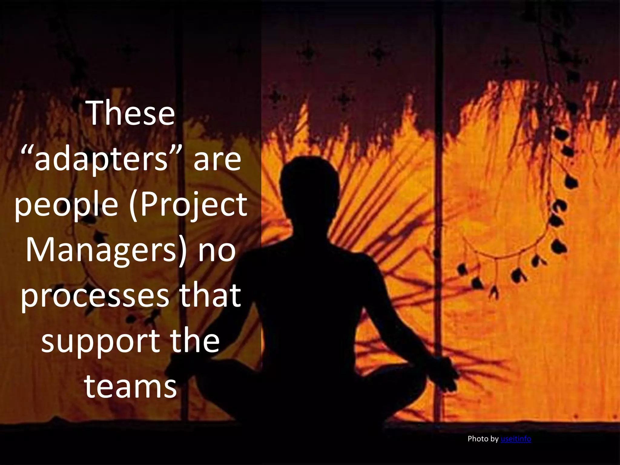 These
“adapters” are
people (Project
Managers) no
processes that
support the
teams
Photo by useitinfo
 