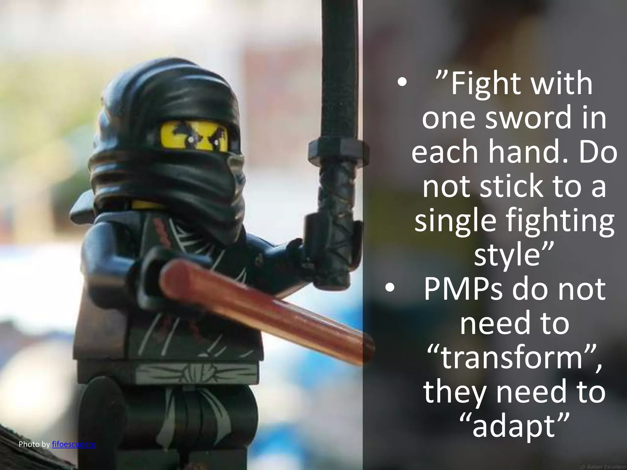 • ”Fight with
one sword in
each hand. Do
not stick to a
single fighting
style”
• PMPs do not
need to
“transform”,
they need to
“adapt”Photo by fifoescudero
 