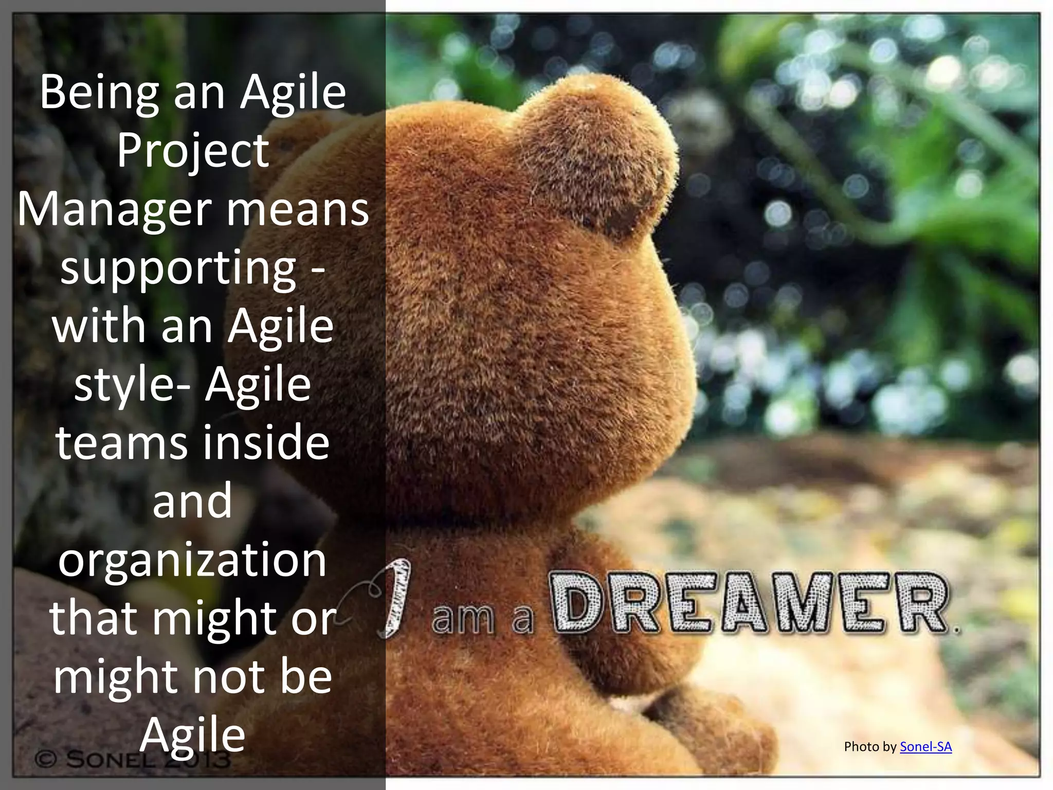 Being an Agile
Project
Manager means
supporting -
with an Agile
style- Agile
teams inside
and
organization
that might or
might not be
Agile Photo by Sonel-SA
 