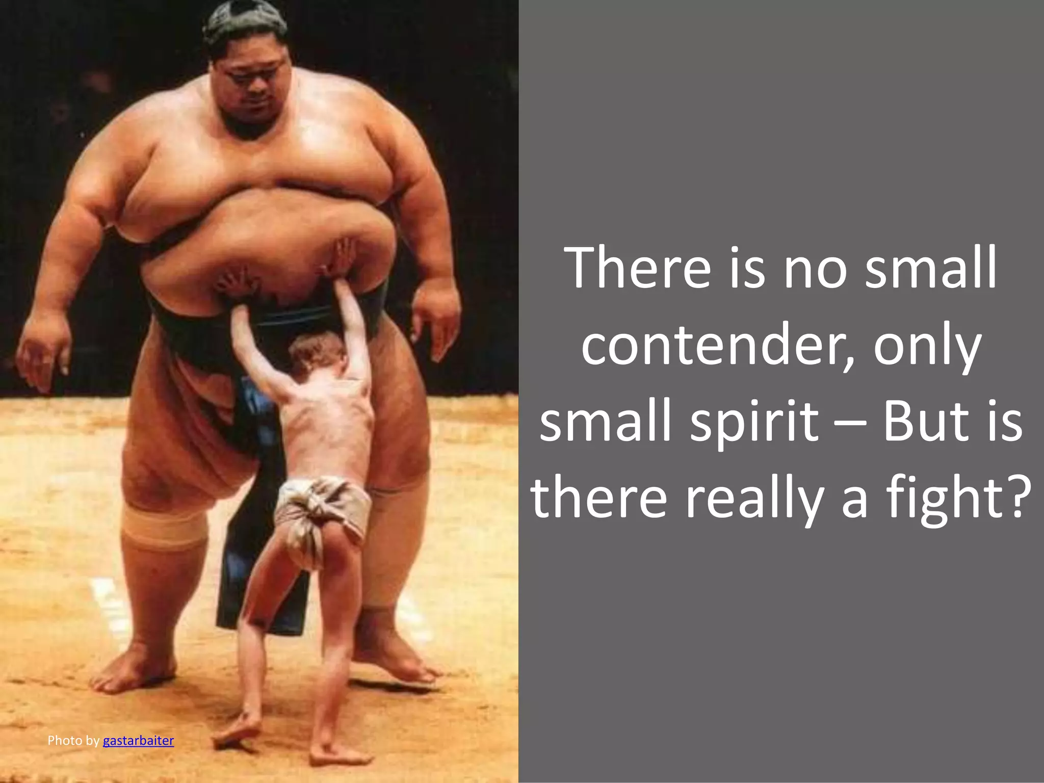 There is no small
contender, only
small spirit – But is
there really a fight?
Photo by gastarbaiter
 