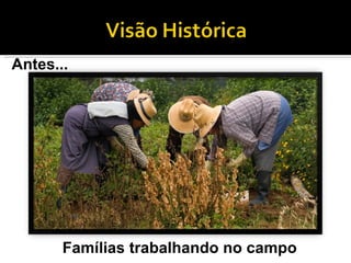 Famílias trabalhando no campo Antes... 