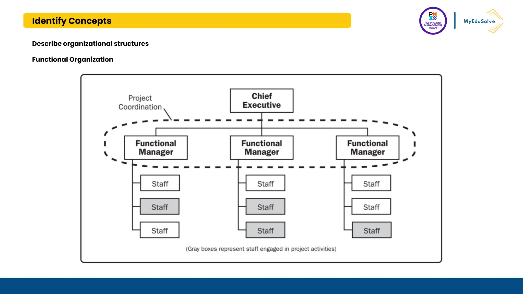 Identify Concepts
Describe organizational structures
Functional Organization
 