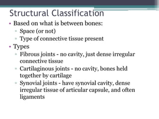 Structural Classification
• Based on what is between bones:
▫ Space (or not)
▫ Type of connective tissue present
• Types
▫ Fibrous joints - no cavity, just dense irregular
connective tissue
▫ Cartilaginous joints - no cavity, bones held
together by cartilage
▫ Synovial joints - have synovial cavity, dense
irregular tissue of articular capsule, and often
ligaments
 