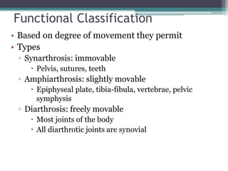 Functional Classification
• Based on degree of movement they permit
• Types
▫ Synarthrosis: immovable
 Pelvis, sutures, teeth
▫ Amphiarthrosis: slightly movable
 Epiphyseal plate, tibia-fibula, vertebrae, pelvic
symphysis
▫ Diarthrosis: freely movable
 Most joints of the body
 All diarthrotic joints are synovial
 
