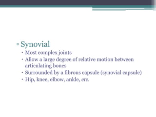 ▫ Synovial
 Most complex joints
 Allow a large degree of relative motion between
articulating bones
 Surrounded by a fibrous capsule (synovial capsule)
 Hip, knee, elbow, ankle, etc.
 