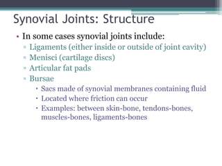 Synovial Joints: Structure
• In some cases synovial joints include:
▫ Ligaments (either inside or outside of joint cavity)
▫ Menisci (cartilage discs)
▫ Articular fat pads
▫ Bursae
 Sacs made of synovial membranes containing fluid
 Located where friction can occur
 Examples: between skin-bone, tendons-bones,
muscles-bones, ligaments-bones
 