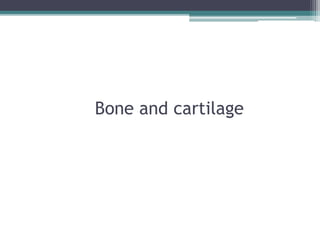 Bone and cartilage
 