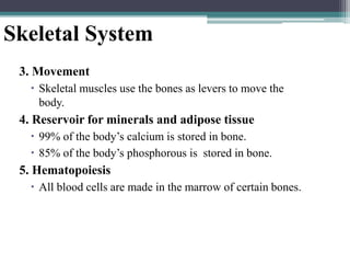 Skeletal System
3. Movement
 Skeletal muscles use the bones as levers to move the
body.
4. Reservoir for minerals and adipose tissue
 99% of the body’s calcium is stored in bone.
 85% of the body’s phosphorous is stored in bone.
5. Hematopoiesis
 All blood cells are made in the marrow of certain bones.
 