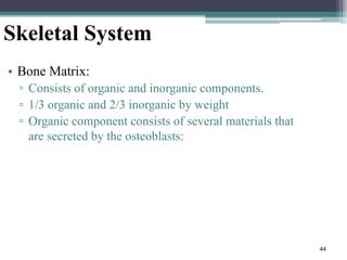 44
Skeletal System
• Bone Matrix:
▫ Consists of organic and inorganic components.
▫ 1/3 organic and 2/3 inorganic by weight
▫ Organic component consists of several materials that
are secreted by the osteoblasts:
 