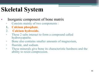 45
Skeletal System
• Inorganic component of bone matrix
▫ Consists mainly of two components :
1. Calcium phosphate.
2. Calcium hydroxide.
▫ These 2 salts interact to form a compound called
hydroxyapatite.
▫ Bone also contains smaller amounts of magnesium,
▫ fluoride, and sodium.
▫ These minerals give bone its characteristic hardness and the
ability to resist compression.
 