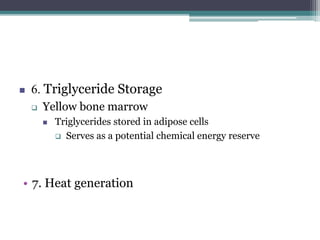  6. Triglyceride Storage
 Yellow bone marrow
 Triglycerides stored in adipose cells
 Serves as a potential chemical energy reserve
• 7. Heat generation
 