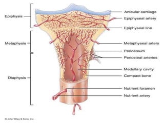 P M S 1  Intro (Updated)