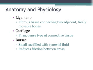 Anatomy and Physiology
• Ligaments
▫ Fibrous tissue connecting two adjacent, freely
movable bones
• Cartilage
▫ Firm, dense type of connective tissue
• Bursae
▫ Small sac filled with synovial fluid
▫ Reduces friction between areas
 