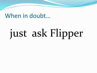 When in doubt…

 just ask Flipper
 