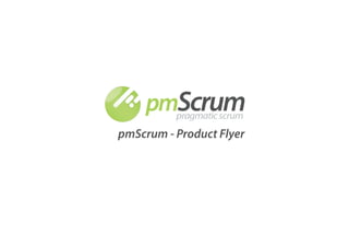 pmScrum - Product Flyer
 
