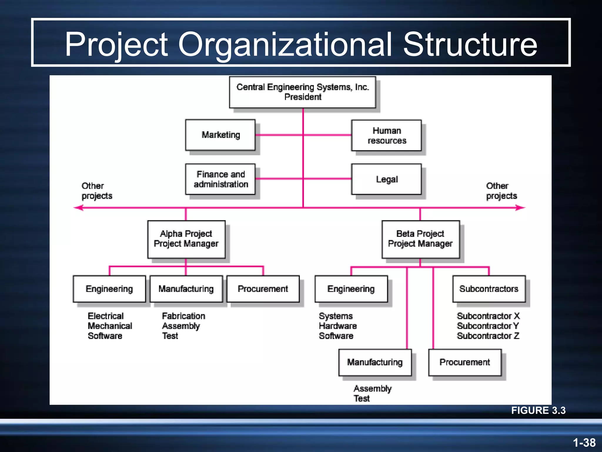 Project Organizational Structure FIGURE 3.3 