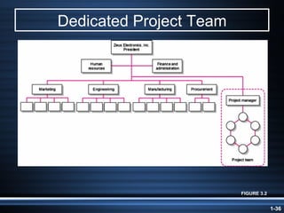 Dedicated Project Team FIGURE 3.2 