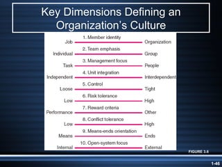 Key Dimensions Defining an Organization’s Culture FIGURE 3.6 