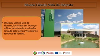 • O Museu Ciência Viva da
Floresta, localizado em Proença-
a-Nova, resultou de um desafio
lançado pela Ciência Viva sobre a
temática da floresta.
 