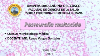 UNIVERSIDAD ANDINA DEL CUSCO
FACULTAD DE CIENCIAS DE LA SALUD
ESCUELA PROFESIONAL DE MEDICINA HUMANA
• CURSO: Microbiología Médica
• DOCENTE: MD. Renzo Vargas Gonzales
Cusco – Perú
2017 II 1
 