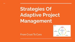 Strategies Of
Adaptive Project
Management
From Crust To Core
 