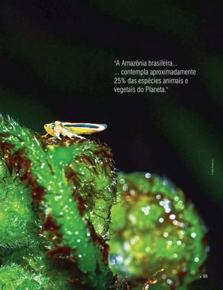  99
"A Amazônia brasileira...
... contempla aproximadamente
25% das espécies animais e
vegetais do Planeta."
©HelyPamplona
 