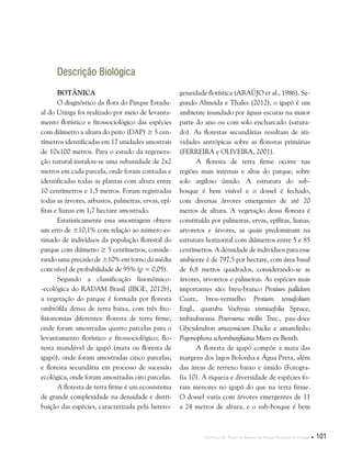 Capítulo II . Plano de Manejo do Parque Estadual do Utinga  101
Descrição Biológica
Botânica
O diagnóstico da flora do Parque Estadu-
al do Utinga foi realizado por meio de levanta-
mento florístico e fitossociológico das espécies
com diâmetro a altura do peito (DAP) ≥ 5 cen-
tímetros identificadas em 17 unidades amostrais
de 10x100 metros. Para o estudo da regenera-
ção natural instalou-se uma subunidade de 2x2
metros em cada parcela, onde foram contadas e
identificadas todas as plantas com altura entre
10 centímetros e 1,5 metros. Foram registradas
todas as árvores, arbustos, palmeiras, ervas, epí-
fitas e lianas em 1,7 hectare amostrado.
Estatisticamente essa amostragem obteve
um erro de ±10,1% com relação ao número es-
timado de indivíduos da população florestal do
parque com diâmetro ≥ 5 centímetros, conside-
rando uma precisão de ±10% em torno da média
com nível de probabilidade de 95% (p = 0,05).
Segundo a classificação fisionômico-
-ecológica do RADAM Brasil (IBGE, 2012b),
a vegetação do parque é formada por floresta
ombrófila densa de terra baixa, com três fito-
fisionomias diferentes: floresta de terra firme,
onde foram amostradas quatro parcelas para o
levantamento florístico e fitossociológico; flo-
resta inundável de igapó (mata ou floresta de
igapó), onde foram amostradas cinco parcelas;
e floresta secundária em processo de sucessão
ecológica, onde foram amostradas oito parcelas.
A floresta de terra firme é um ecossistema
de grande complexidade na densidade e distri-
buição das espécies, caracterizada pela hetero-
geneidade florística (ARAÚJO et al., 1986). Se-
gundo Almeida e Thales (2012), o igapó é um
ambiente inundado por águas escuras na maior
parte do ano ou com solo encharcado (satura-
do). As florestas secundárias resultam de ati-
vidades antrópicas sobre as florestas primárias
(FERREIRA e OLIVEIRA, 2001).
A floresta de terra firme ocorre nas
regiões mais internas e altas do parque, sobre
solo argiloso úmido. A estrutura do sub-
bosque é bem visível e o dossel é fechado,
com diversas árvores emergentes de até 20
metros de altura. A vegetação dessa floresta é
constituída por palmeiras, ervas, epífitas, lianas,
arvoretos e árvores, as quais predominam na
estrutura horizontal com diâmetros entre 5 e 85
centímetros. A densidade de indivíduos para esse
ambiente é de 797,5 por hectare, com área basal
de 6,8 metros quadrados, considerando-se as
árvores, arvoretos e palmeiras. As espécies mais
importantes são: breu-branco Protium pallidum
Cuatr., breu-vermelho Protium tenuifolium
Engl., quaruba Vochysia vismiaefolia Spruce,
imbaubarana Pourouma mollis Trec., pau-doce
Glycydendron amazonicum Ducke e amarelinho
Pogonophora schomburgkiana Miers ex Benth.
A floresta de igapó compõe a mata das
margens dos lagos Bolonha e Água Preta, além
das áreas de terreno baixo e úmido (Fotogra-
fia 10). A riqueza e diversidade de espécies fo-
ram menores no igapó do que na terra firme.
O dossel varia com árvores emergentes de 11
a 24 metros de altura, e o sub-bosque é bem
 