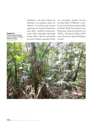 102  Plano de Manejo do Parque Estadual do Utinga . Capítulo II
abundante, com maior número de
indivíduos nas primeiras classes de
diâmetro. As espécies mais comuns
registradas são açaizeiro Euterpe ole-
racea Mart., andiroba Carapa guia-
nensis Aubl., buritizinho Mauritiella
armata (Mart.) Burret, paricazinho
da várzea Panopsis suaveolens Pittier
Fotografia 10.
Floresta de Igapó localizada
ao lado do trapiche no Parque
Estadual do Utinga.
Fonte: Eli Franco, 2012.
var. suaveolens, paxiúba Socratea
exorrhiza (Mart.) H.Wendl. e ucuú-
ba da várzea Virola surinamensis (Rol.
ex Rottb.) Warb. Essas espécies tam-
bém foram citadas por Ferreira et al.
(2005) e Almeida & Thales (2012)
para a floresta de igapó de Melgaço,
no Pará.
1°25'29"S 48°25'08"W
 