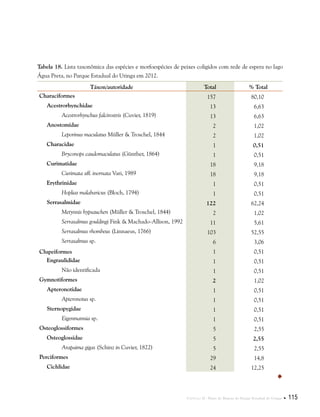 Capítulo II . Plano de Manejo do Parque Estadual do Utinga  115
Tabela 18. Lista taxonômica das espécies e morfoespécies de peixes coligidos com rede de espera no lago
Água Preta, no Parque Estadual do Utinga em 2012.
Táxon/autoridade Total % Total
Characiformes 157 80,10
Acestrorhynchidae 13 6,63
Acestrorhynchus falcirostris (Cuvier, 1819) 13 6,63
Anostomidae 2 1,02
Leporinus maculatus Müller & Troschel, 1844 2 1,02
Characidae 1 0,51
Bryconops caudomaculatus (Günther, 1864) 1 0,51
Curimatidae 18 9,18
Curimata aff. inornata Vari, 1989 18 9,18
Erythrinidae 1 0,51
Hoplias malabaricus (Bloch, 1794) 1 0,51
Serrasalmidae 122 62,24
Metynnis hypsauchen (Müller & Troschel, 1844) 2 1,02
Serrasalmus gouldingi Fink & Machado-Allison, 1992 11 5,61
Serrasalmus rhombeus (Linnaeus, 1766) 103 52,55
Serrasalmus sp. 6 3,06
Clupeiformes 1 0,51
Engraulididae 1 0,51
Não identificada 1 0,51
Gymnotiformes 2 1,02
Apteronotidae 1 0,51
Apteronotus sp. 1 0,51
Sternopygidae 1 0,51
Eigenmannia sp. 1 0,51
Osteoglossiformes 5 2,55
Osteoglossidae 5 2,55
Arapaima gigas (Schinz in Cuvier, 1822) 5 2,55
Perciformes 29 14,8
Cichlidae 24 12,25

 