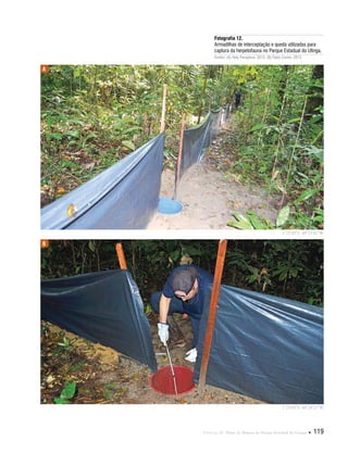 Capítulo II . Plano de Manejo do Parque Estadual do Utinga  119
Fotografia 12.
Armadilhas de interceptação e queda utilizadas para
captura da herpetofauna no Parque Estadual do Utinga.
Fontes: (A) Hely Pamplona, 2012; (B) Fabio Comin, 2012.
A
B
1°25'45"S 48°25'41"W
1°25'45"S 48°24'21"W
 