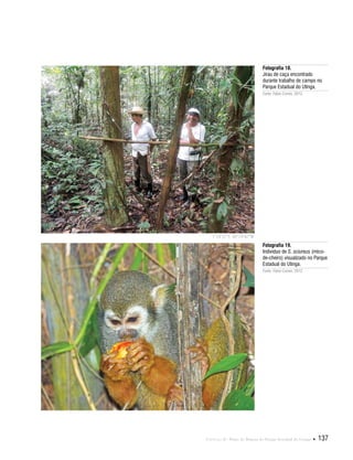 Capítulo II . Plano de Manejo do Parque Estadual do Utinga  137
Fotografia 19.
Indivíduo de S. sciureus (mico-
de-cheiro) visualizado no Parque
Estadual do Utinga.
Fonte: Fabio Comin, 2012.
Fotografia 18.
Jirau de caça encontrado
durante trabalho de campo no
Parque Estadual do Utinga.
Fonte: Fabio Comin, 2012.
1°24'52"S 48°24'40"W
 
