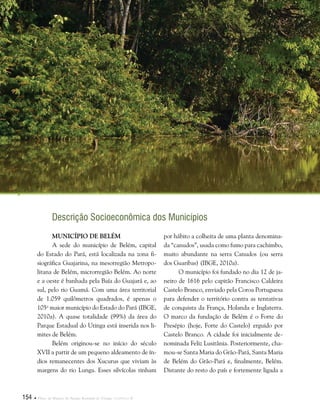 154  Plano de Manejo do Parque Estadual do Utinga . Capítulo II
Descrição Socioeconômica dos Municípios
Município de Belém
A sede do município de Belém, capital
do Estado do Pará, está localizada na zona fi-
siográfica Guajarina, na mesorregião Metropo-
litana de Belém, microrregião Belém. Ao norte
e a oeste é banhada pela Baía do Guajará e, ao
sul, pelo rio Guamá. Com uma área territorial
de 1.059 quilômetros quadrados, é apenas o
105o
maior município do Estado do Pará (IBGE,
2010a). A quase totalidade (99%) da área do
Parque Estadual do Utinga está inserida nos li-
mites de Belém.
Belém originou-se no início do século
XVII a partir de um pequeno aldeamento de ín-
dios remanecentes dos Xucurus que viviam às
margens do rio Lunga. Esses silvícolas tinham
por hábito a colheita de uma planta denomina-
da “canudos”, usada como fumo para cachimbo,
muito abundante na serra Canudos (ou serra
dos Guaribas) (IBGE, 2010a).
O município foi fundado no dia 12 de ja-
neiro de 1616 pelo capitão Francisco Caldeira
Castelo Branco, enviado pela Coroa Portuguesa
para defender o território contra as tentativas
de conquista da França, Holanda e Inglaterra.
O marco da fundação de Belém é o Forte do
Presépio (hoje, Forte do Castelo) erguido por
Castelo Branco. A cidade foi inicialmente de-
nominada Feliz Lusitânia. Posteriormente, cha-
mou-se Santa Maria do Grão-Pará, Santa Maria
de Belém do Grão-Pará e, finalmente, Belém.
Distante do resto do país e fortemente ligada a
 