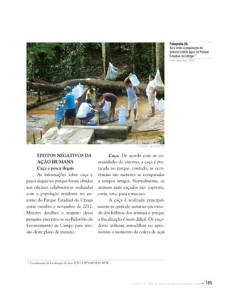 Capítulo II . Plano de Manejo do Parque Estadual do Utinga  185
Efeitos negativos da
ação humana
Caça e pesca ilegais
As informações sobre caça e
pesca ilegais no parque foram obtidas
nas oficinas colaborativas realizadas
com a população residente no en-
torno do Parque Estadual do Utinga
entre outubro e novembro de 2012.
Maiores detalhes a respeito dessa
pesquisa encontra-se no Relatório de
Levantamento de Campo para revi-
são deste plano de manejo.
Fotografia 26.
Bica onde a população do
entorno coleta água no Parque
Estadual do Utinga.17
Fonte: Jarine Reis, 2012.
1°25'24"S 48°26'42"W
Caça. De acordo com as co-
munidades do entorno, a caça é pra-
ticada no parque, contudo, as ocor-
rências são menores se comparadas
a tempos antigos. Normalmente, os
animais mais caçados são: capivara,
cutia, tatu, paca e macaco.
A caça é realizada principal-
mente no período noturno em virtu-
de dos hábitos dos animais e porque
a fiscalização é mais difícil. Os caça-
dores utilizam armadilhas ou apro-
veitam o momento da coleta de açaí
17
Coordenadas de localização da bica: 1º25’23.78”S/48º26’41.94”W.
 