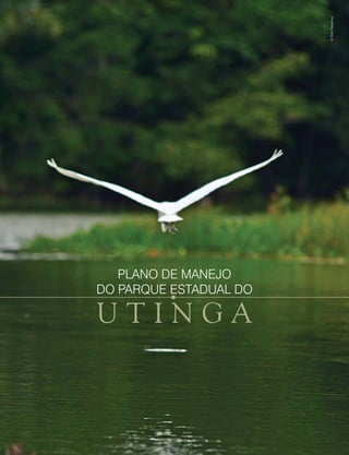 ©HelyPamplona
U T I N G A
PLANO DE MANEJO
DO PARQUE ESTADUAL DO
 