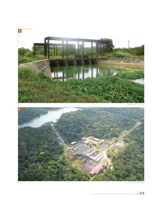 Capítulo II . Plano de Manejo do Parque Estadual do Utinga  219
1°24'46"S 48°25'16"W
1°25'08"S 48°26'18"W
B
C
 