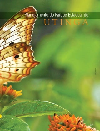  237
©HelyPamplona
Planejamento do Parque Estadual do
U T I N G A
 