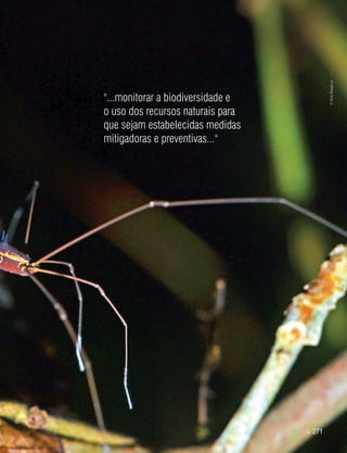 271
©HelyPamplona
"...monitorar a biodiversidade e
o uso dos recursos naturais para
que sejam estabelecidas medidas
mitigadoras e preventivas..."
 