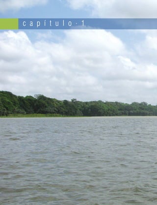 c a p í t u l o . 1
 
