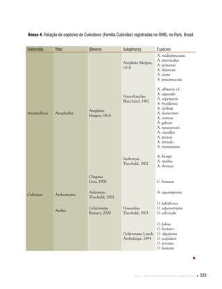 Anexos . Plano de Manejo do Parque Estadual do Utinga  335
Anexo 4. Relação de espécies de Culicídeos (Família Culicidae) registradas na RMB, no Pará, Brasil.

Subfamília Tribo Gêneros Subgêneros Espécies
Anophelinae Anophelini
Anopheles
Meigen, 1818
Anopheles Meigen,
1818
Nyssorhynchus
Blanchard, 1902
Stethomyia
Theobald, 1902
A. mediopunctatus
A. intermedius
A. peryassui
A. shannoni
A. eiseni
A. punctimacula
A. albitarsis s.l.
A. aquasalis
A. argyritarsis
A. brasiliensis
A. darlingi
A. deaneorum
A. evansae
A. galvaoi
A. nuneztovari
A. oswaldoi
A. pessoai
A. strondei
A. triannulatus
A. Kompi
A. nimbus
A. thomasi
Chagasia
Cruz, 1906 C. bonneae
Culicinae Aedeomyiini
Aedeomyia
Theobald, 1901
A. squamipennis
Aedini
Ochlerotatus
Reinert, 2000
Howardina
Theobald, 1903
O. fulvithorax
O. septemstriatus
O. arborealis
Ochlerotatus Lynch
Arribalzága, 1894
O. fulvus
O. hortator
O. oligopistus
O. scapularis
O. serratus
O. hastatus
 