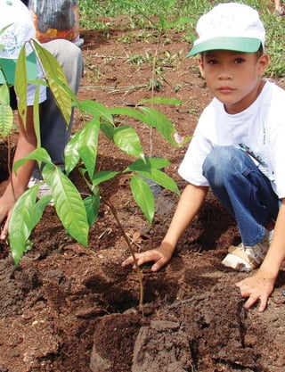 374  Plano de Manejo do Parque Estadual do Utinga . Anexos
©Sema,2013
 