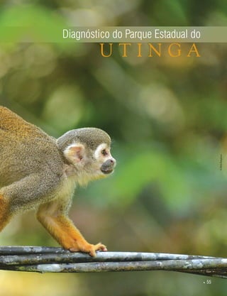  55
U T I N G A
©HelyPamplona
Diagnóstico do Parque Estadual do
 