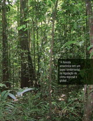  57
"A floresta
amazônica tem um
papel fundamental
na regulação do
clima regional e
global..."
©HelyPamplona
 
