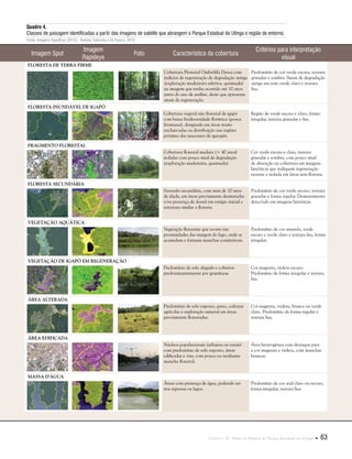 Capítulo II . Plano de Manejo do Parque Estadual do Utinga  63
Quadro 4.
Classes de paisagem identificadas a partir das imagens de satélite que abrangem o Parque Estadual do Utinga e região de entorno.
Fonte: Imagens RapidEye (2012); Rodney Salomão e Eli Franco, 2012.
Imagem Spot
Imagem
Rapideye
Foto Característica da cobertura
Critérios para interpretação
visual
Floresta de terra firme
Cobertura Florestal Ombrófila Densa com
indícios de regeneração de degradação antiga
(exploração madeireira seletiva, queimada)
na imagem que tenha ocorrido até 10 anos
antes do ano de análise, deste que apresente
sinais de regeneração.
Predomínio de cor verde escura, textura
granular e sombra. Sinais de degradação
antiga em tons verde claro e textura
lisa.
Floresta inundável de igapó
Cobertura vegetal não florestal de igapó
com baixa biodiversidade florística (pouca
fitomassa), designada em áreas muito
encharcadas ou distribuição nas regiões
próximo das nascentes de igarapés.
Região de verde escuro e claro, forma
irregular, textura granular e lisa.
fragmento florestal
Cobertura florestal madura (> 40 anos)
isoladas com pouco sinal de degradação
(exploração madeireira, queimada).
Cor verde escura e clara, textura
granular e sombra, com pouco sinal
de alteração na cobertura em imagens
históricas que indiquem regeneração
recente e isolada em áreas sem floresta.
floresta secundária
Sucessão secundária, com mais de 10 anos
de idade, em áreas previamente desmatadas
e/ou presença de dossel em estágio inicial e
estrutura similar a floresta.
Predomínio de cor verde escuro, textura
granular e forma regular. Desmatamento
detectado em imagens históricas.
vegetação aquática
Vegetação flutuante que ocorre nas
proximidades das margem do lago, onde se
acumulam e formam manchas cosideráveis.
Predomínio de cor amarela, verde
escuro e verde claro e textura lisa, forma
irregular.
vegetação de igapó em regeneração
Predomínio de solo alagado e cobertos
predominantemente por gramíneas.
Cor magenta, violeta escuro.
Predomínio de forma irregular e textura
lisa.
área alterada
Predomínio de solo exposto, pasto, culturas
agrícolas e exploração mineral em áreas
previamente florestadas.
Cor magenta, violeta, branca ou verde
claro. Predomínio de forma regular e
textura lisa.
área edificada
Núcleos populacionais (urbanos ou rurais)
com predomínio de solo exposto, áreas
edificadas e vias, com pouca ou nenhuma
mancha florestal.
Área heterogênea com destaque para
a cor magenta e violeta, com manchas
brancas.
massa d'água
Áreas com presença de água, podendo ser
rios represas ou lagos.
Predomínio de cor azul claro ou escuro,
forma irregular, textura lisa.
 