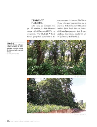 68  Plano de Manejo do Parque Estadual do Utinga . Capítulo II
Fragmento
Florestal
Esta classe de paisagem ocu-
pa 2,52 hectares (0,18%) dentro do
parque e 68,53 hectares (3,18%) em
seu entorno (Ver Tabela 2). A distri-
buição geográfica concentra-se no
extremo norte do parque (Ver Mapa
5). As principais características são a
presença de floresta ombrófila densa
madura (mais de 40 anos de forma-
ção) isolada com pouco sinal de de-
gradação (exploração madeireira e/
ou queimada) (Fotografia 3).
Fotografia 3.
Fragmento florestal no Parque
Estadual do Utinga: (A) visão
externa do fragmento florestal;
(B) visão interna do fragmento
florestal.
Por: Rodney Salomão, 2012.
A
B
1°25'20"S 48°24'27"W
1°25'19"S 48°24'26"W
 