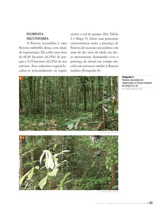 Capítulo II . Plano de Manejo do Parque Estadual do Utinga  69
Floresta
Secundária
A floresta secundária é uma
floresta ombrófila densa com sinais
de regeneração. Ela cobre uma área
de 60,41 hectares (4,33%) do par-
que e 5,35 hectares (0,25%) do seu
entorno. Esta cobertura vegetal lo-
caliza-se principalmente na região
centro e sul do parque (Ver Tabela
2 e Mapa 5). Entre suas principais
características estão a presença de
floresta de sucessão secundária com
mais de dez anos de idade em áre-
as previamente desmatadas e/ou a
presença de dossel em estágio ini-
cial com estrutura similar à floresta
madura (Fotografia 4).
Fotografia 4.
Floresta secundária em
regeneração no Parque Estadual
do Utinga (A e B).
Por: Rodney Salomão, 2012.
A
B
1°25'50"S 48°25'29"W
1°25'50"S 48°25'29"W
 