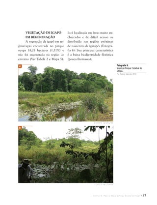 Capítulo II . Plano de Manejo do Parque Estadual do Utinga  71
Vegetação de Igapó
em Regeneração
A vegetação de igapó em re-
generação encontrada no parque
ocupa 18,28 hectares (1,31%) e
não foi encontrada na região de
entorno (Ver Tabela 2 e Mapa 5).
Fotografia 6.
Igapó no Parque Estadual do
Utinga.
Por: Rodney Salomão, 2012.
Está localizada em áreas muito en-
charcadas e de difícil acesso ou
distribuída nas regiões próximas
de nascentes de igarapés (Fotogra-
fia 6). Sua principal característica
é a baixa biodiversidade florística
(pouca fitomassa).
A
B
1°25'35"S 48°25'42"W
1°26'02"S 48°25'04"W
 