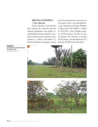 72  Plano de Manejo do Parque Estadual do Utinga . Capítulo II
Pressão Antrópica
• Área Alterada
A área alterada é caracterizada
pela remoção da cobertura florestal
original, geralmente com padrão es-
pacial definido (forma regular) e asso-
ciado à infraestrutura existente como
estradas e cultivos (Fotografia 7).
Dentro dos limites do parque, a maior
Fotografia 7.
Área alterada no Parque Estadual
do Utinga (A e B).
Por: Rodney Salomão, 2012.
parte do desmatamento concentra-se
na porção norte e sul, principalmen-
te nas imediações dos lagos Bolonha
e Água Preta (Ver Tabela 2 e Mapa
5). Até 2012, a área alterada ocupa-
va 113,45 hectares (8,14% da área
do parque). No entorno, na porção
sul do parque, aproximadamente 213
hectares (9,89%) foram alterados.
A
B
1°26'00"S 48°24'33"W
1°24'42"S 48°25'24"W
 